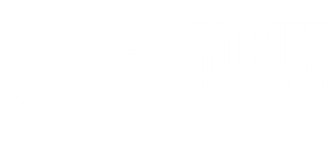 cricketbinge - logo white
